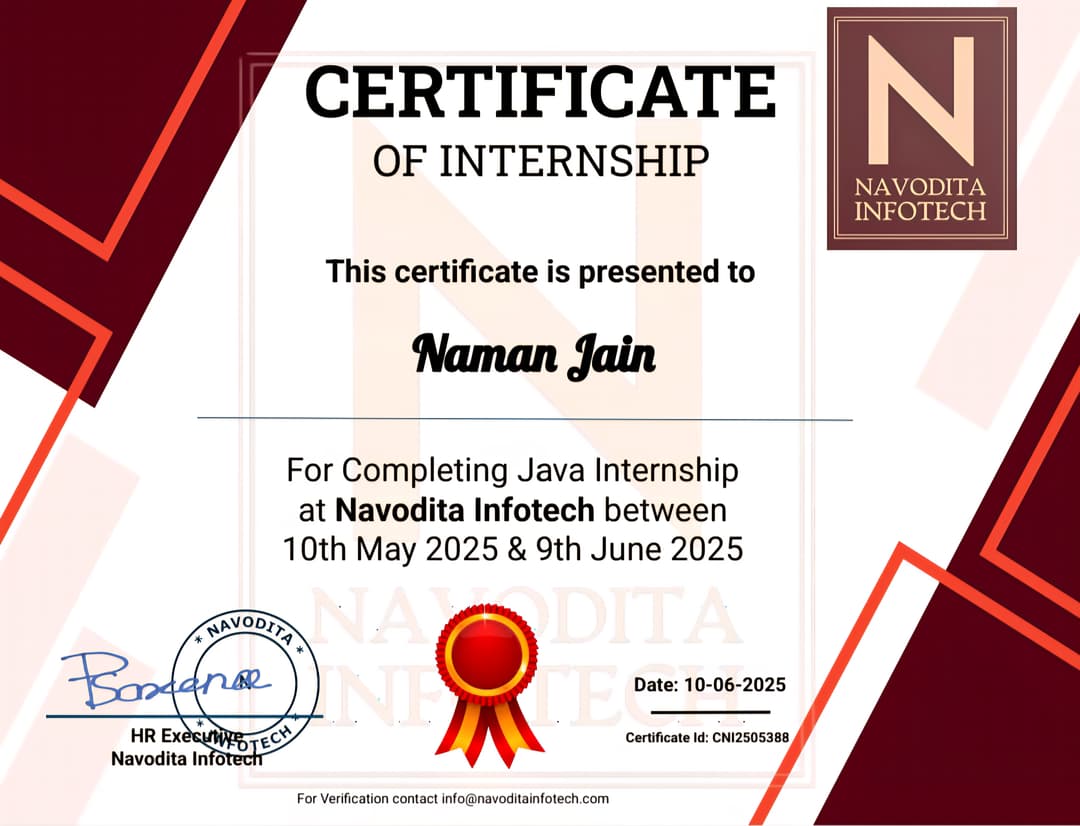 Navodita Infotech experience